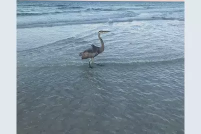 554 NW Coral Court NW #303, Fort Walton Beach, FL 32548 - Photo 30