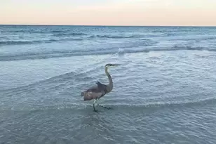 554 NW Coral Ct NW, Fort Walton Beach, FL 32548 - Photo 30