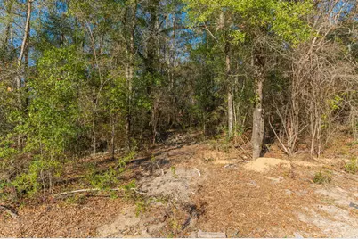 1520 Brunson Road, Caryville, FL 32427 - Photo 24