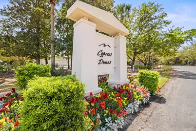 324 Cypress Drive, Santa Rosa Beach, FL 32459 - Photo 48