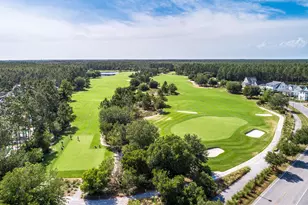 81 Jack Knife Drive, Inlet Beach, FL 32461 - Photo 56