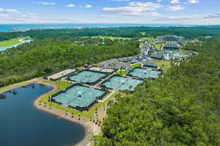 221 Quail Hollow Ct, Inlet Beach, FL 32461 - Photo 10