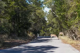211 Missile Hill Rd, Santa Rosa Beach, FL 32459 - Photo 74