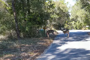 211 Missile Hill Rd, Santa Rosa Beach, FL 32459 - Photo 78