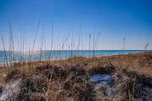 211 Missile Hill Rd, Santa Rosa Beach, FL 32459 - Photo 72