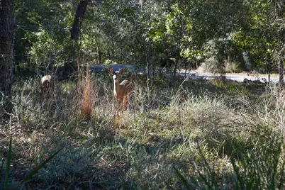 211 Missile Hill Road, Santa Rosa Beach, FL 32459 - Photo 80