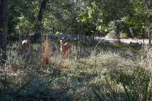 211 Missile Hill Rd, Santa Rosa Beach, FL 32459 - Photo 80