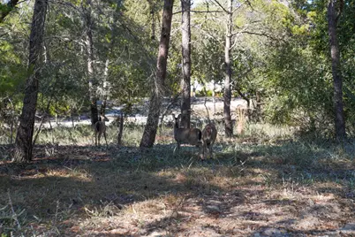 211 Missile Hill Road, Santa Rosa Beach, FL 32459 - Photo 76