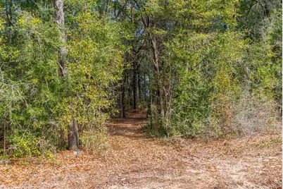 5.5 Ac Martin Road, Defuniak Springs, FL 32433 - Photo 4