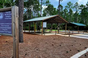 267 Buxtons Wy, Freeport, FL 32439 - Photo 62