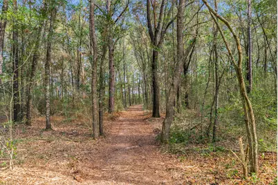 9.7 Ac Martin Road Road #9.7, Defuniak Springs, FL 32433 - Photo 4