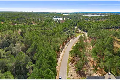 1609 Dayflower Drive, Panama City Beach, FL 32413 - Photo 6