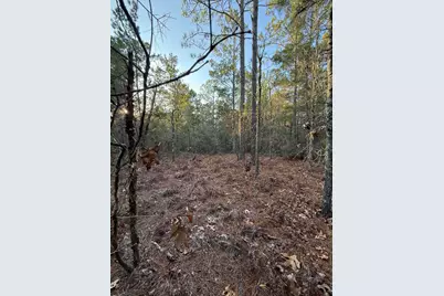 Lot 5 Blk 54 On Forest Lane, Defuniak Springs, FL 32433 - Photo 6