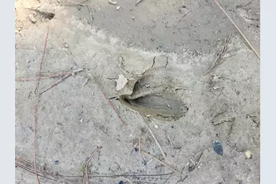 4857 W County Hwy 181 W, Defuniak Springs, FL 32433 - Photo 12