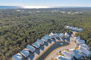 244 White Cottage Rd, Santa Rosa Beach, FL 32459 - Photo 96