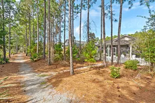 137 Jack Knife Drive, Inlet Beach, FL 32461 - Photo 24