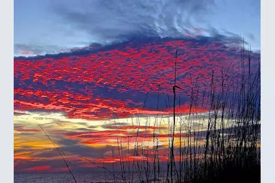 133 Cypress Passage, Santa Rosa Beach, FL 32459 - Photo 72