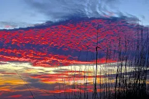 133 Cypress Passage, Santa Rosa Beach, FL 32459 - Photo 72