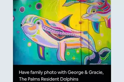 4203 Indian Bayou Trail #11215, Destin, FL 32541 - Photo 50