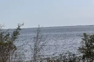 195 Alden Ln, Freeport, FL 32439 - Photo 2