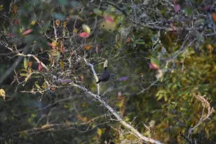 195 Alden Ln, Freeport, FL 32439 - Photo 24