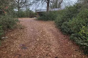 1291 Hwy 185, Westville, FL 32464 - Photo 6