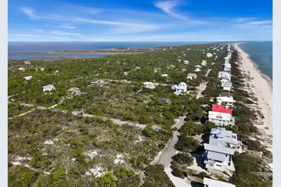 1644 Hawthorne Lane, Saint George Island, FL 32328 - Photo 10