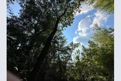 B & C New Ebenezer Road, Laurel Hill, FL 32567 - Photo 6