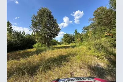 B & C New Ebenezer Road, Laurel Hill, FL 32567 - Photo 8