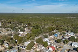 803 Forest Cove Ct, Mary Esther, FL 32569 - Photo 50