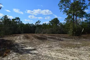 646 Millard Gainey Rd, Defuniak Springs, FL 32435 - Photo 28