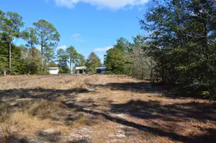 646 Millard Gainey Rd, Defuniak Springs, FL 32435 - Photo 32