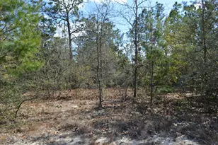 646 Millard Gainey Rd, Defuniak Springs, FL 32435 - Photo 30