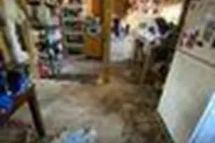 1775 Carolina St, Alford, FL 32431 - Photo 8