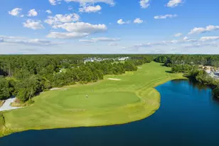 89 Cambium Ct, Inlet Beach, FL 32461 - Photo 32