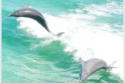 2137 Estates Circle, Navarre, FL 32566 - Photo 34