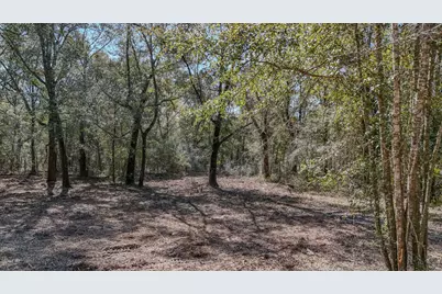 505 Martin Road, Defuniak Springs, FL 32433 - Photo 6