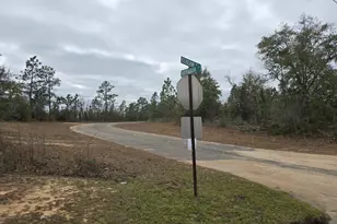 Tbd Elkcam Blvd, Chipley, FL 32428 - Photo 6