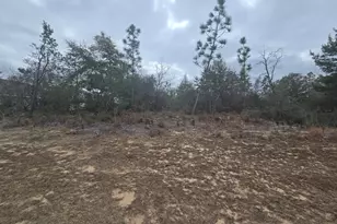 Tbd Elkcam Blvd, Chipley, FL 32428 - Photo 4