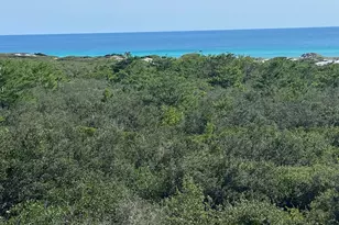 255 Cypress Dr, Santa Rosa Beach, FL 32459 - Photo 48