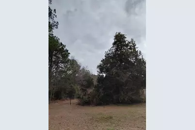 10128 State Highway 20, Ponce de Leon, FL 32455 - Photo 4