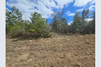 Tbd Cranston Court, Chipley, FL 32428 - Photo 2