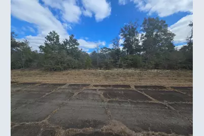 Tbd Hale Avenue, Chipley, FL 32428 - Photo 2