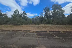 Tbd Hale Ave, Chipley, FL 32428 - Photo 2