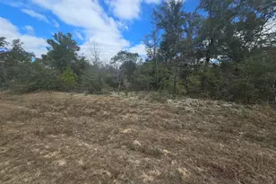 Tbd Hale Ave, Chipley, FL 32428 - Photo 4