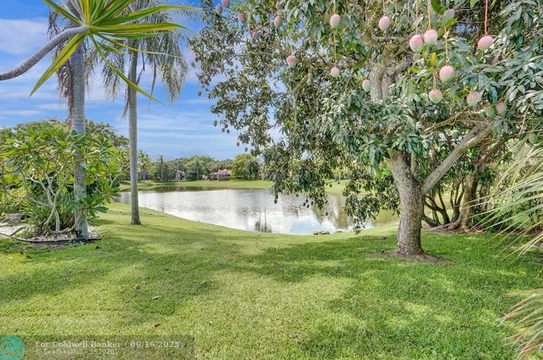 10066 Camelback Ln, Boca Raton FL  33498-4713 exterior