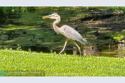 310  Woodland Drive, Jacksonville, NC 28540 - Photo 10