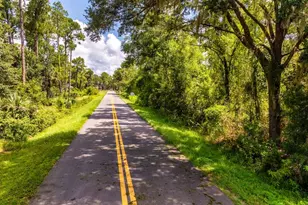 40200 Emeralda Island Rd, Leesburg, FL 34788 - Photo 2