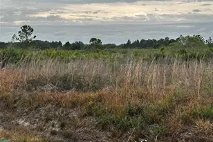 17128 NW 314th St, Okeechobee, FL 34972 - Photo 6