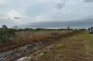 17128 NW 314th St, Okeechobee, FL 34972 - Photo 8